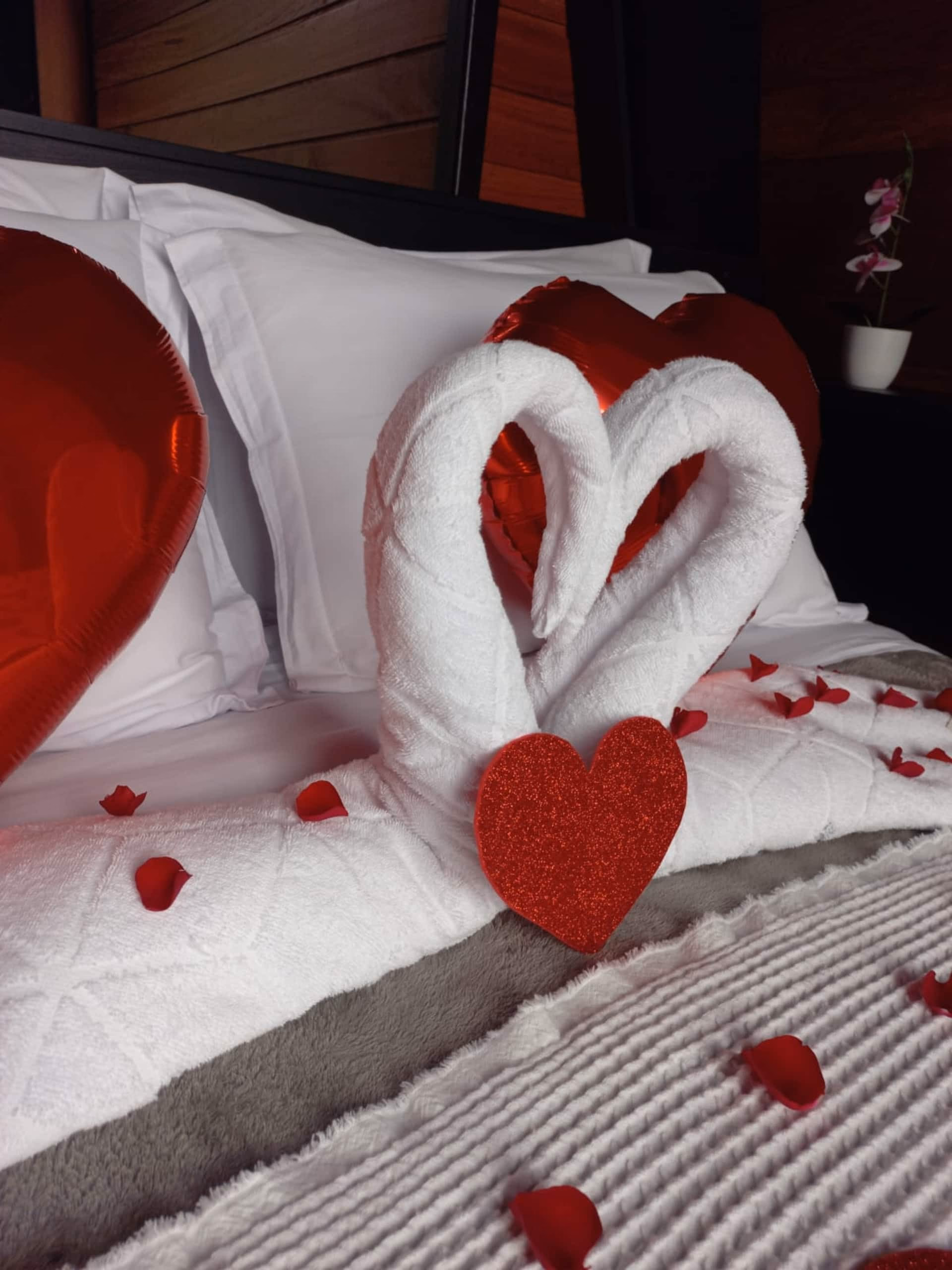 Cama decorada com toalhas em formato de cisne, pétalas de rosa e coração